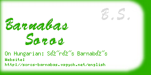 barnabas soros business card